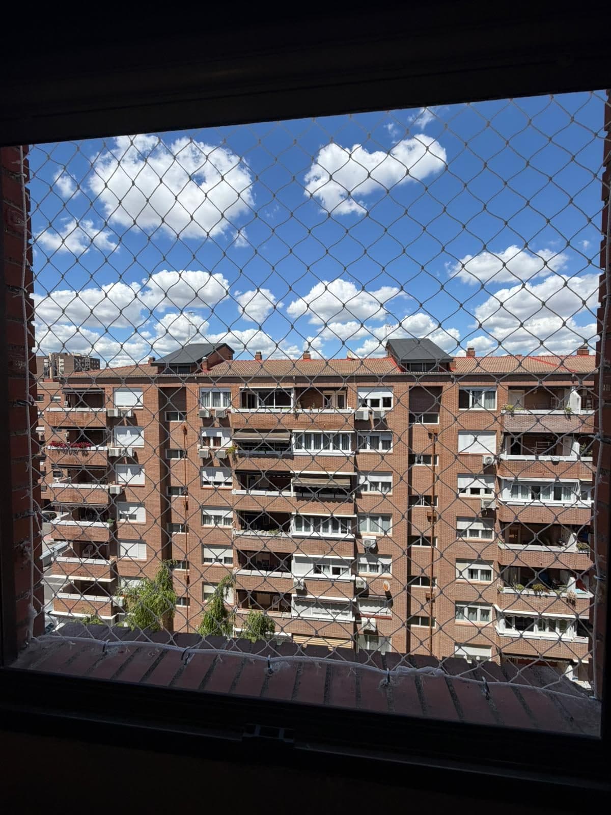 Ventana con red de protección y vistas a los edificios